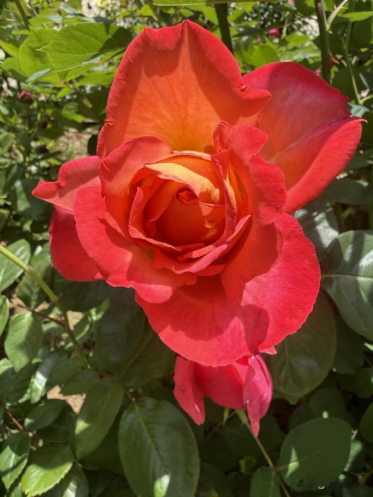 【小对联】
上：排挤；
下：……？