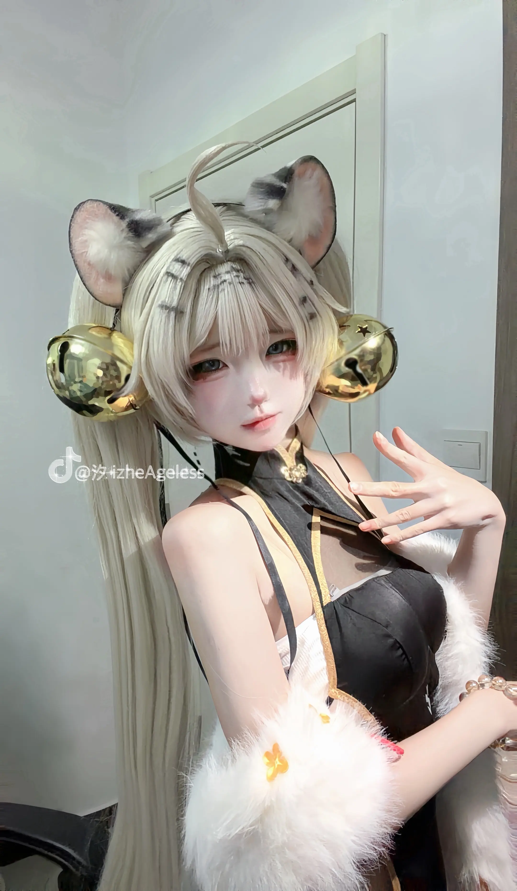 壁纸壁纸