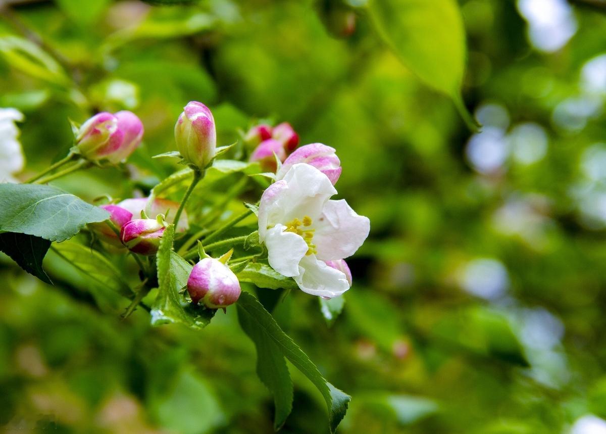 生活就像一面镜子，你对它笑，它就笑；你对它哭，它也哭。所以，无论遇到什么困难，都