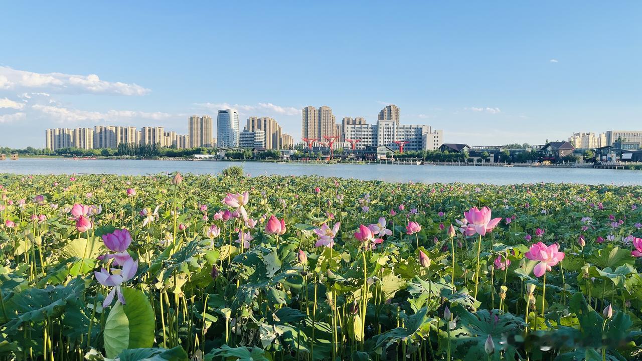 十年之前你说什么也想不到保定东湖能变成现在这个样子[赞]