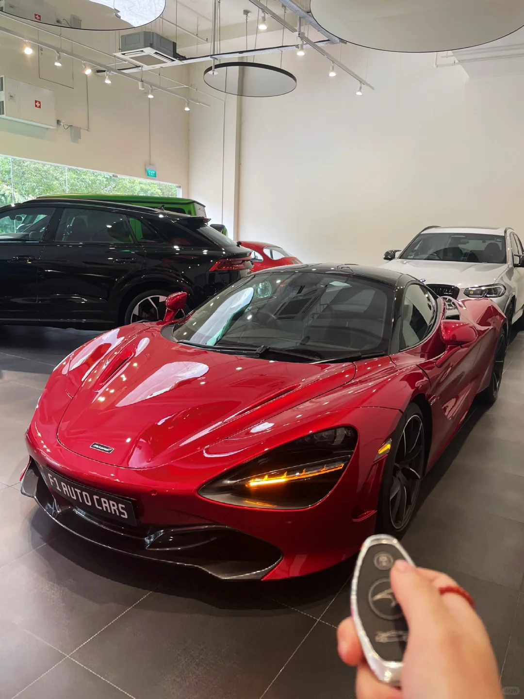 🇸🇬挑战体验100辆豪车200/119