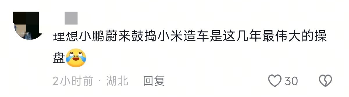 抖音看到一段话：蔚小理捣鼓小米造车是这几年最伟大的操盘 
