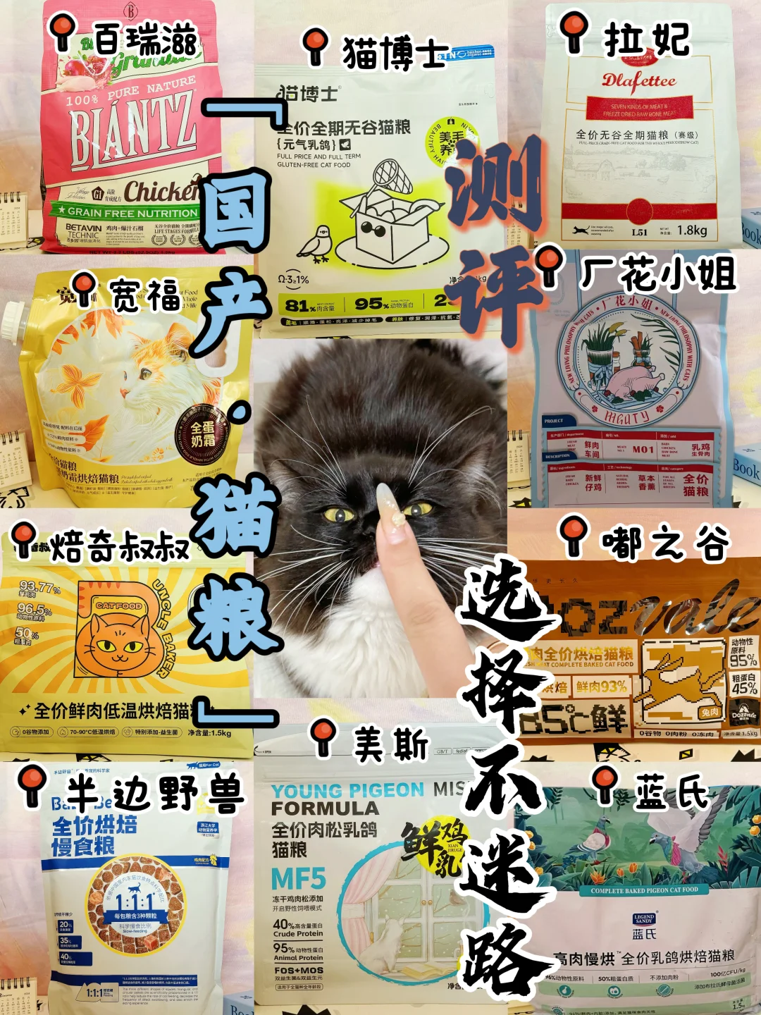 养猫不迷路【国产猫粮选择指南】