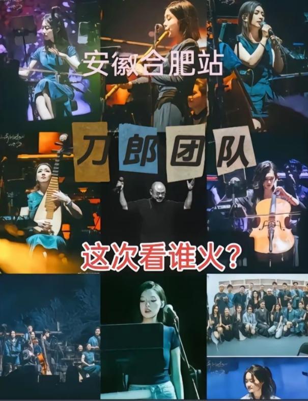 @刀郎 @安徽文旅 各部门安保就位，合肥文旅用心了？刀郎 音乐 合肥 黄梅戏