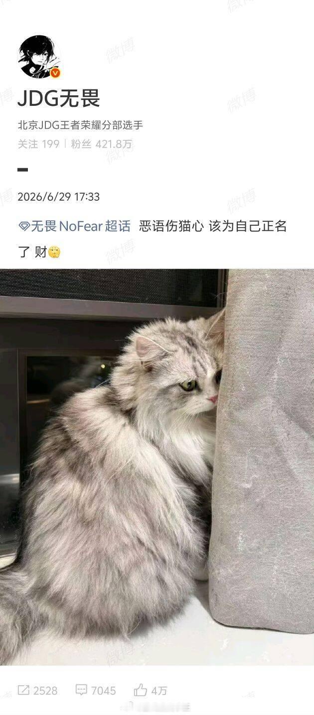 无畏为自己的猫正名了  无畏说财该为自己正名了快多发点照片让我们看看 