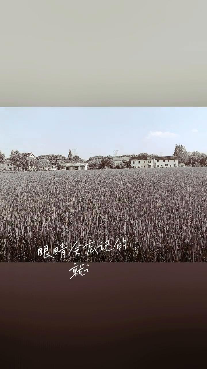 眼睛会忘记的就上照片记住吧。