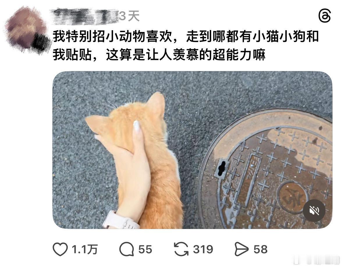 算是发现了，不光人类吃情绪稳定这一套，小动物更是高标准！你咋咋呼呼上蹿下跳，它躲