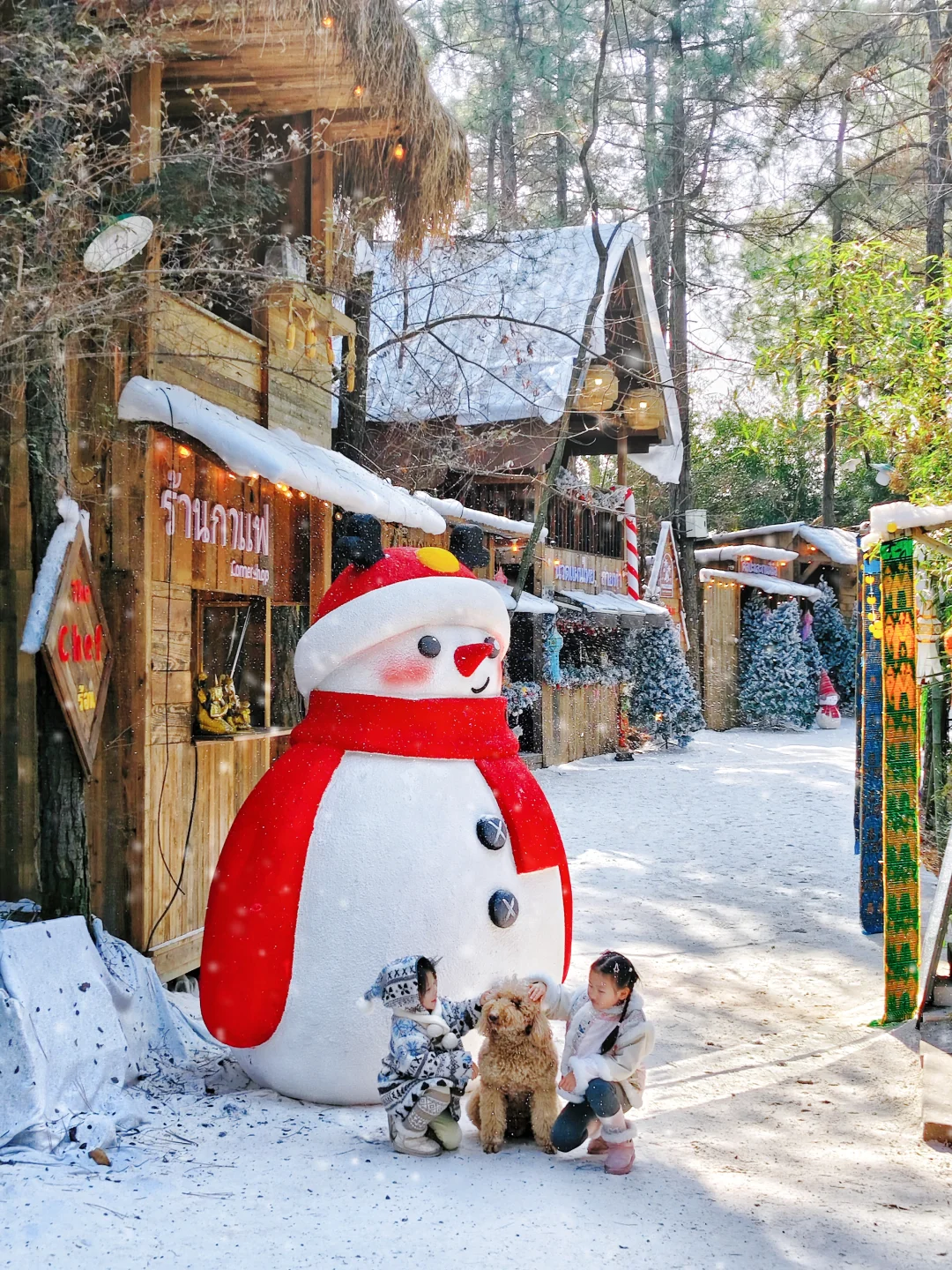 ❄️南京出发3h！寒假来这遛娃实现滑雪自由
