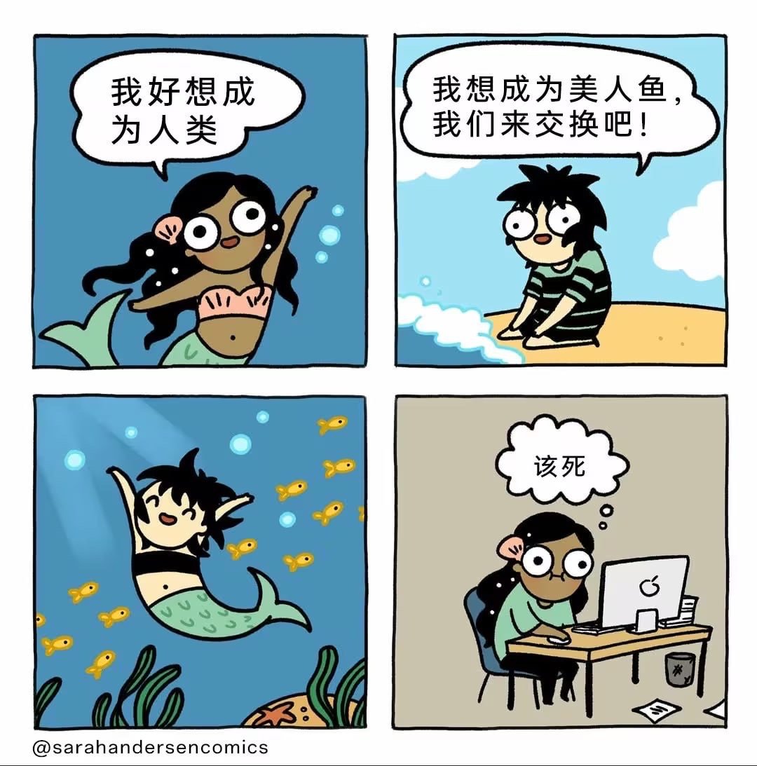 哈哈中计啦 ​​​