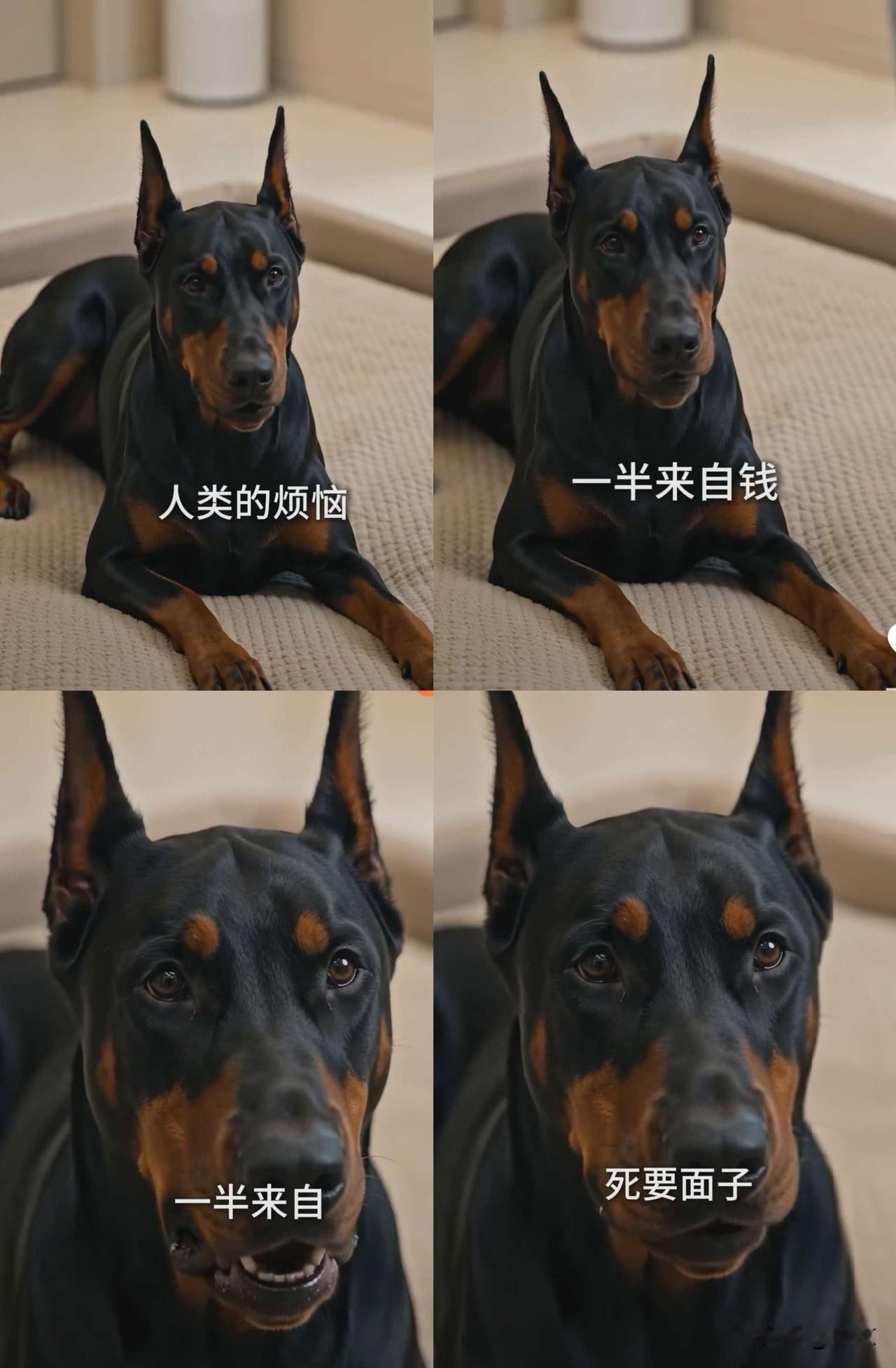 AI短剧里的嘴替