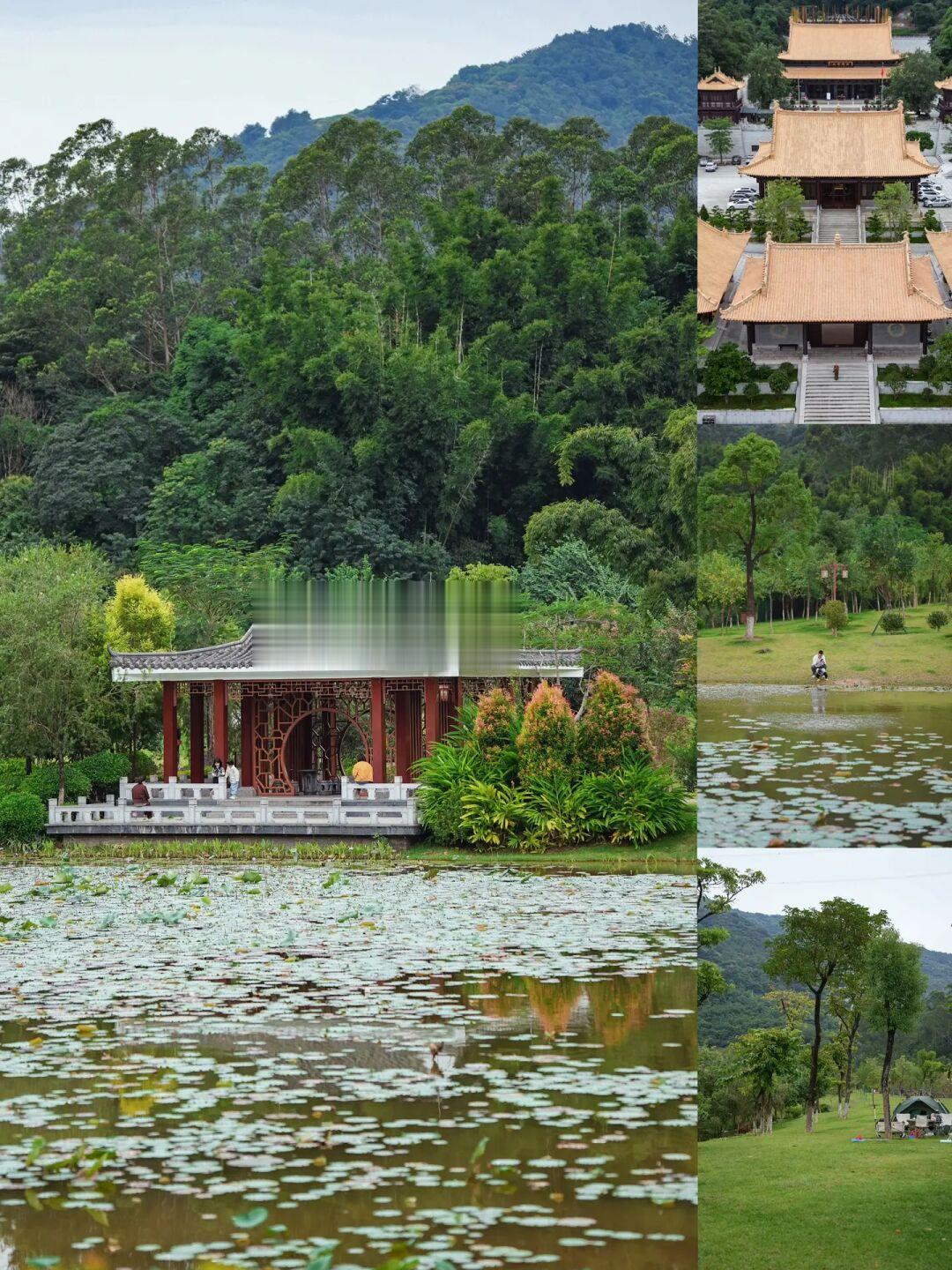 广州宝藏公园藏着一座可吃斋寺庙🌳露营徒步