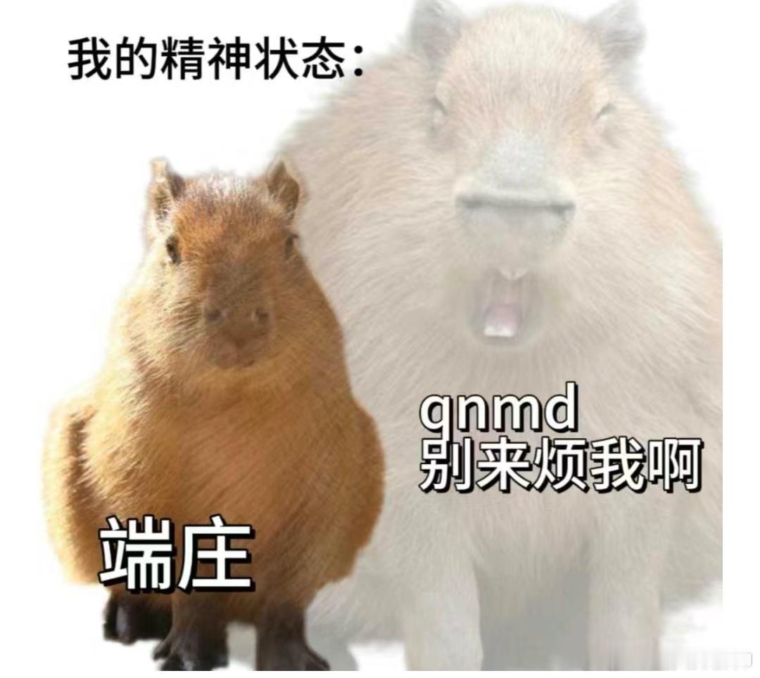 #卡皮巴拉的精神状态遥遥领先#卡皮巴拉的真的是好美的精神状态呀！！！ ​​​