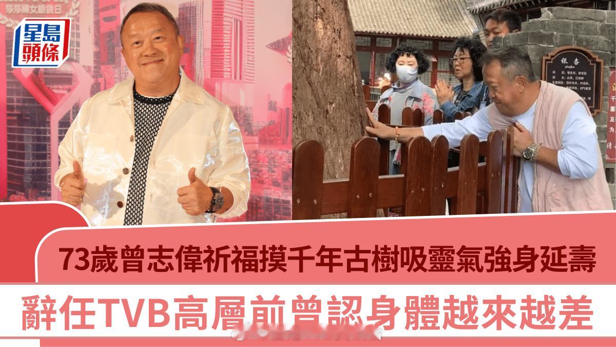 73 岁曾志伟现身大孤山祈福 摸千年古树吸灵气强身延寿 辞任 TVB 高层前曾认