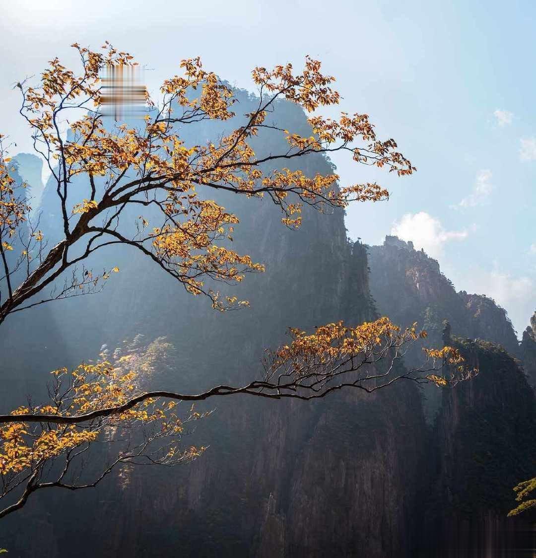 #情感[超话]##这是我的心里话# 人生不怕有过去，就怕你和往事过不去。其实，谁