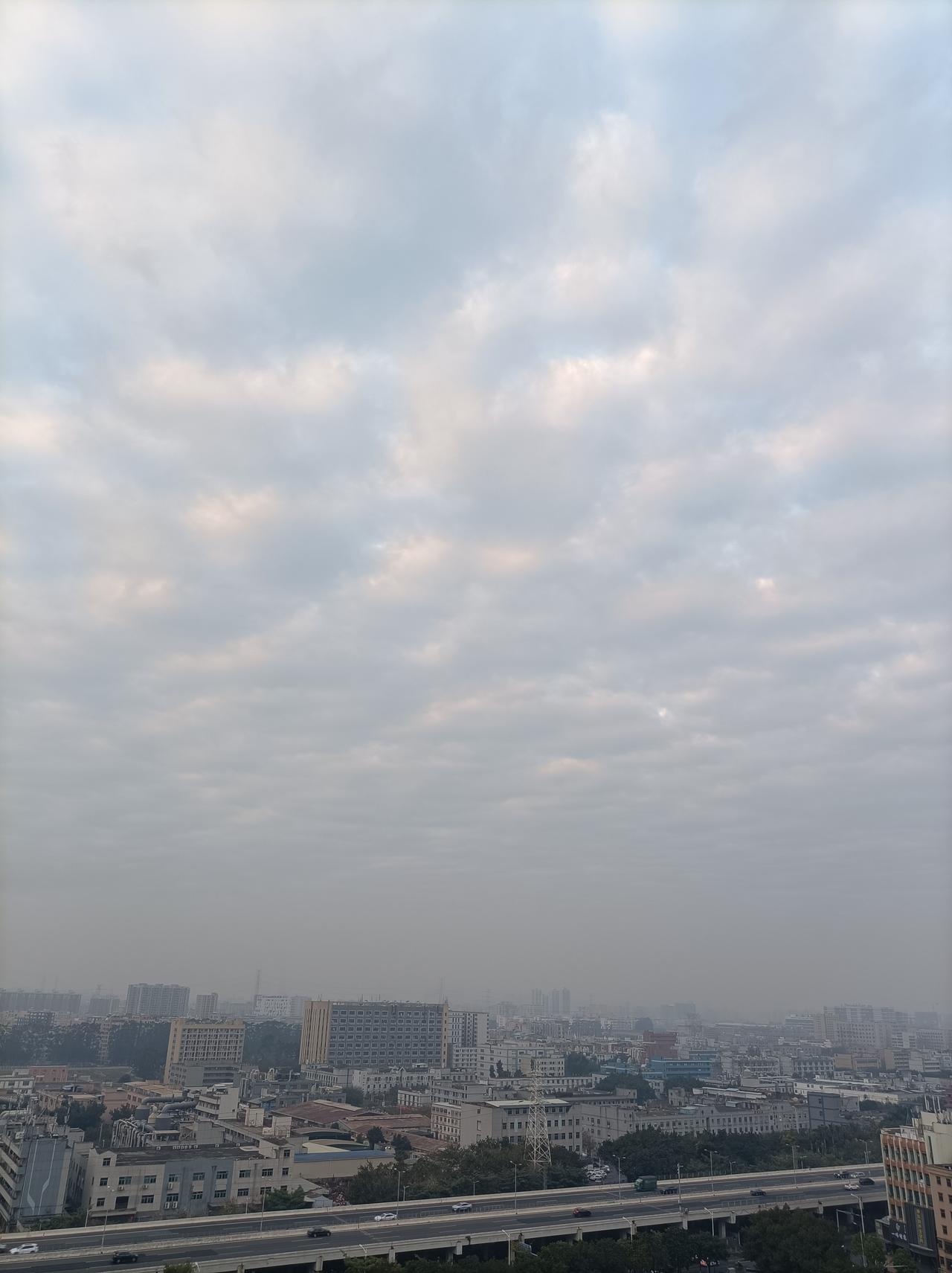 今日运动打卡今日周末，天气有点阴，随便在小区公园遛了一下，就算运动打卡了！