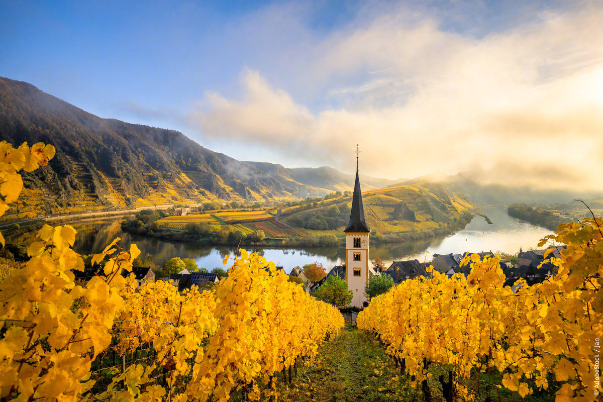 【这里是德国】布雷默(Bremm)是摩泽尔河最陡峭的葡萄园所在地，Calmont