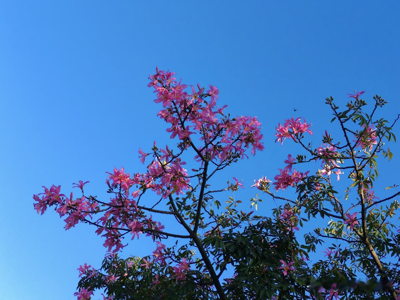 2025.9.28今天厦门天气晴好，环岛路海边景色宜人！​厦门 思明区环岛路