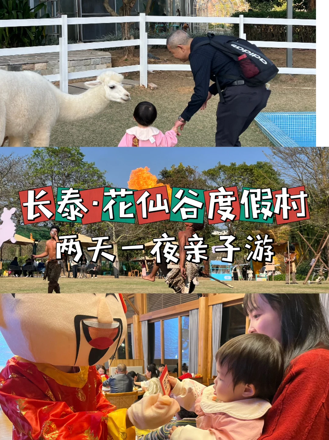 📍长泰·遛娃圣地·低幼宝宝友好！附酒店菜单