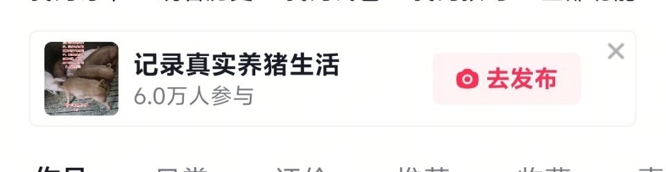 别闹 ​​​
