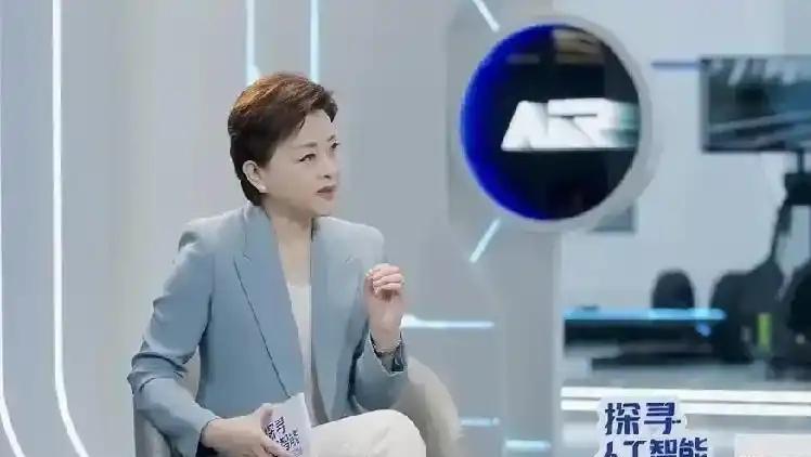 再往深处看，海外顶尖模型与国产模型的差距，过去常被简化成参数、榜单、演示效果，实