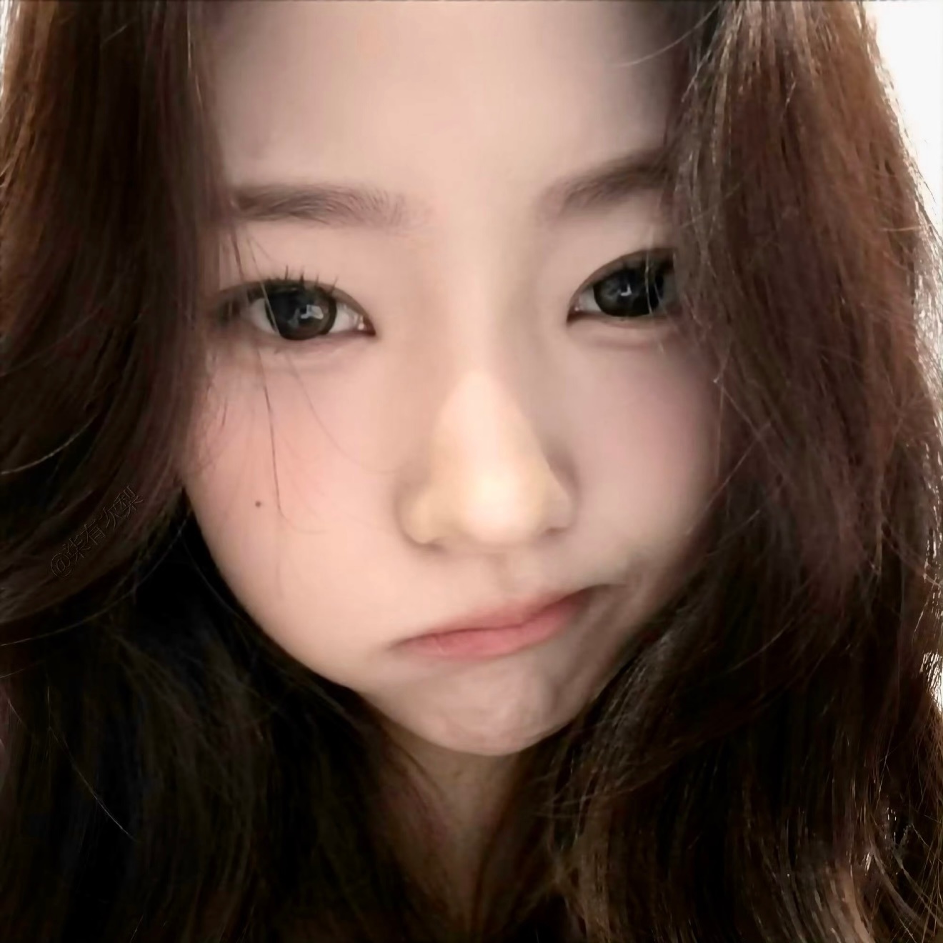 kpop头像｜Stella｜金多绚｜女生头像｜可爱头像 
