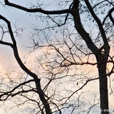 周末愉快各位朋友，一日之计在于晨！周末锻炼时刻！早安黄金