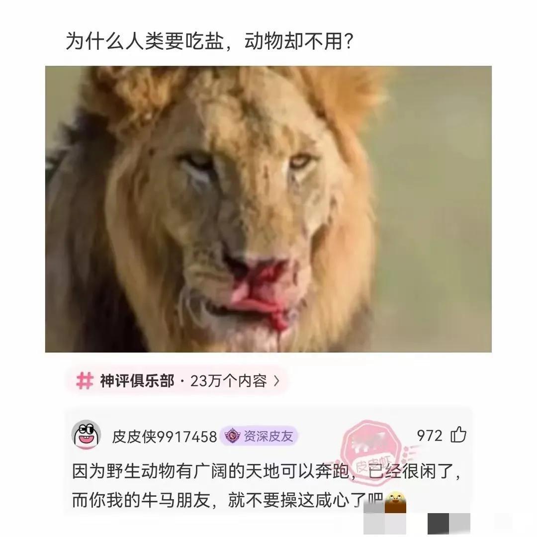 谁知道为啥动物不吃盐而人却需要吃盐的原因
