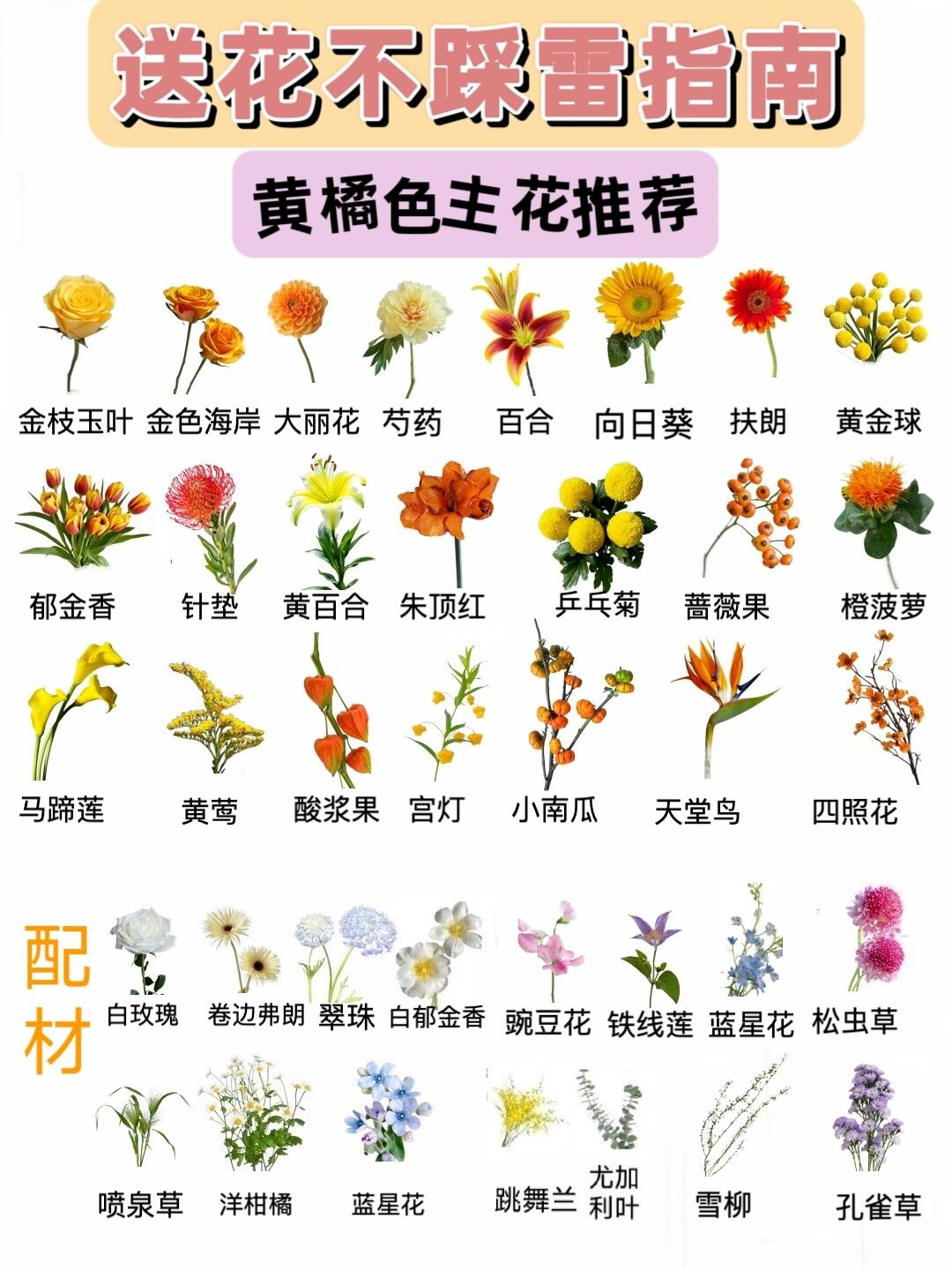 送花不踩雷指南💯黄橙色系主花推荐