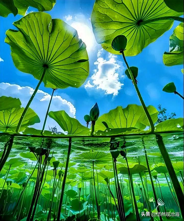 几年了，每天雷打不动地绕路接送，油钱、车损全是自己扛，没收过她一分钱。
我妈重病