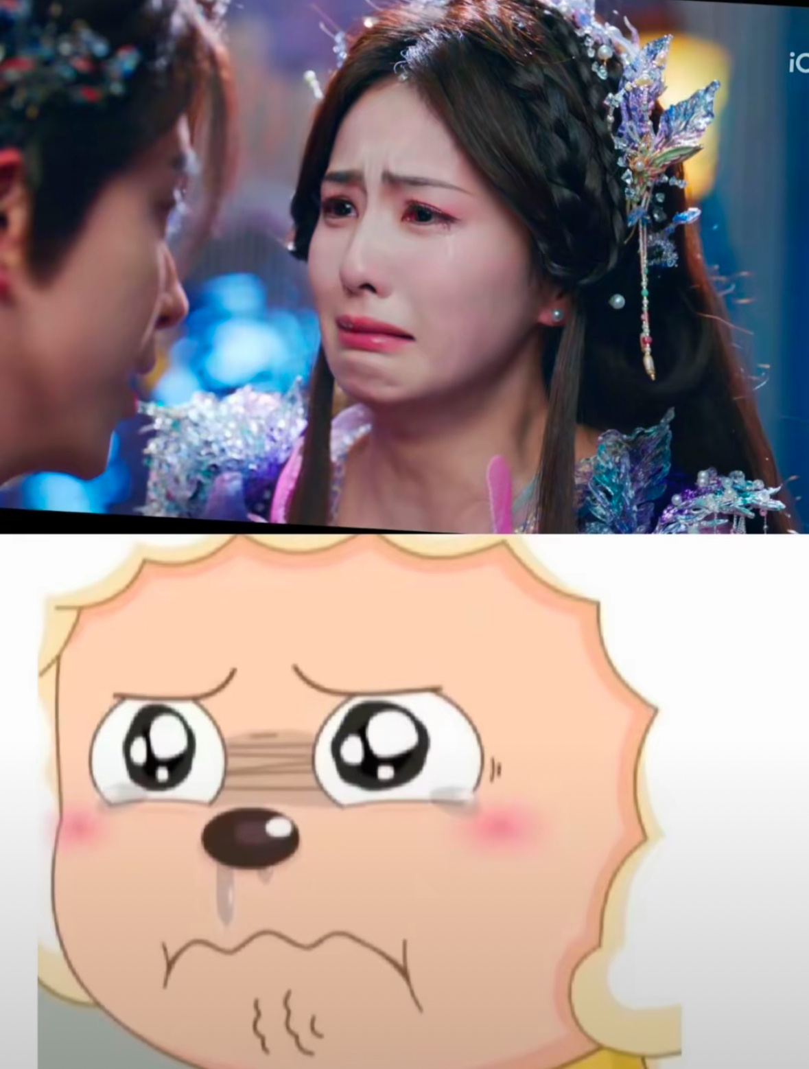 我每天从早到晚就这两种状态md怎么又要起床了ಥ_ಥmd怎么该睡了 -_-|| 