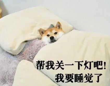 【你为什么还不睡】单身的人，每天都在忙什么？明天周一又要上班了，你为什么还不睡？