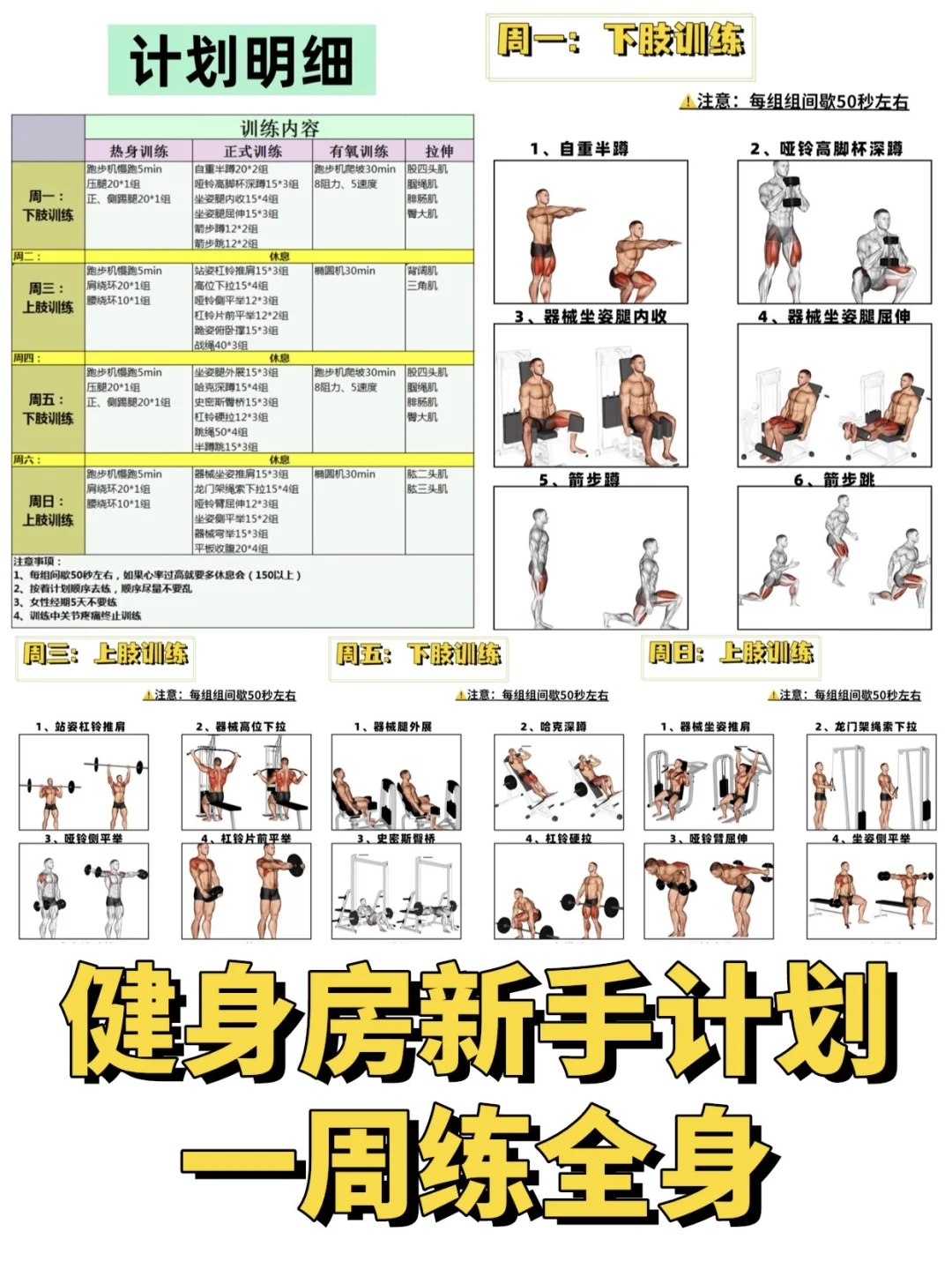 健身房新手训练计划！一周练全身，附详细教学