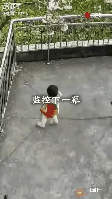 公鸡六亲不认了，这下惨了吧，瞅瞅啥情况，