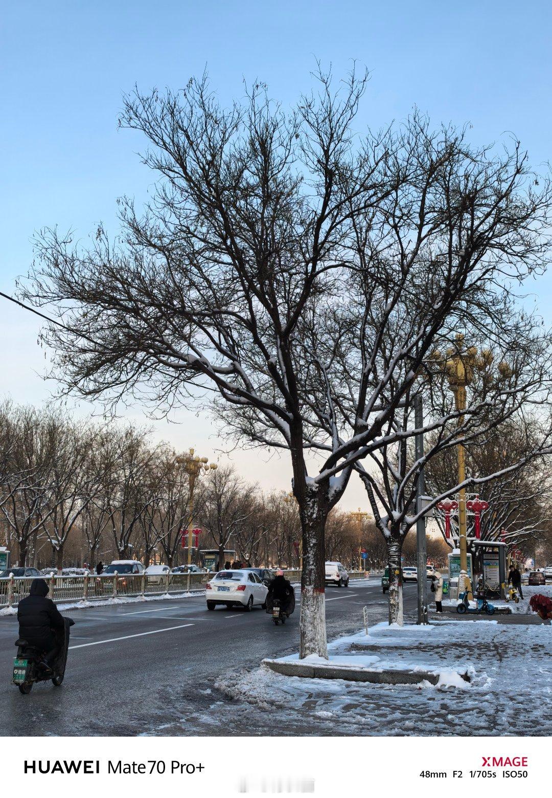 早早早，又是新的一周[太阳]昨天下完雪，路边到处是积雪，好在主路上没雪，不影响开