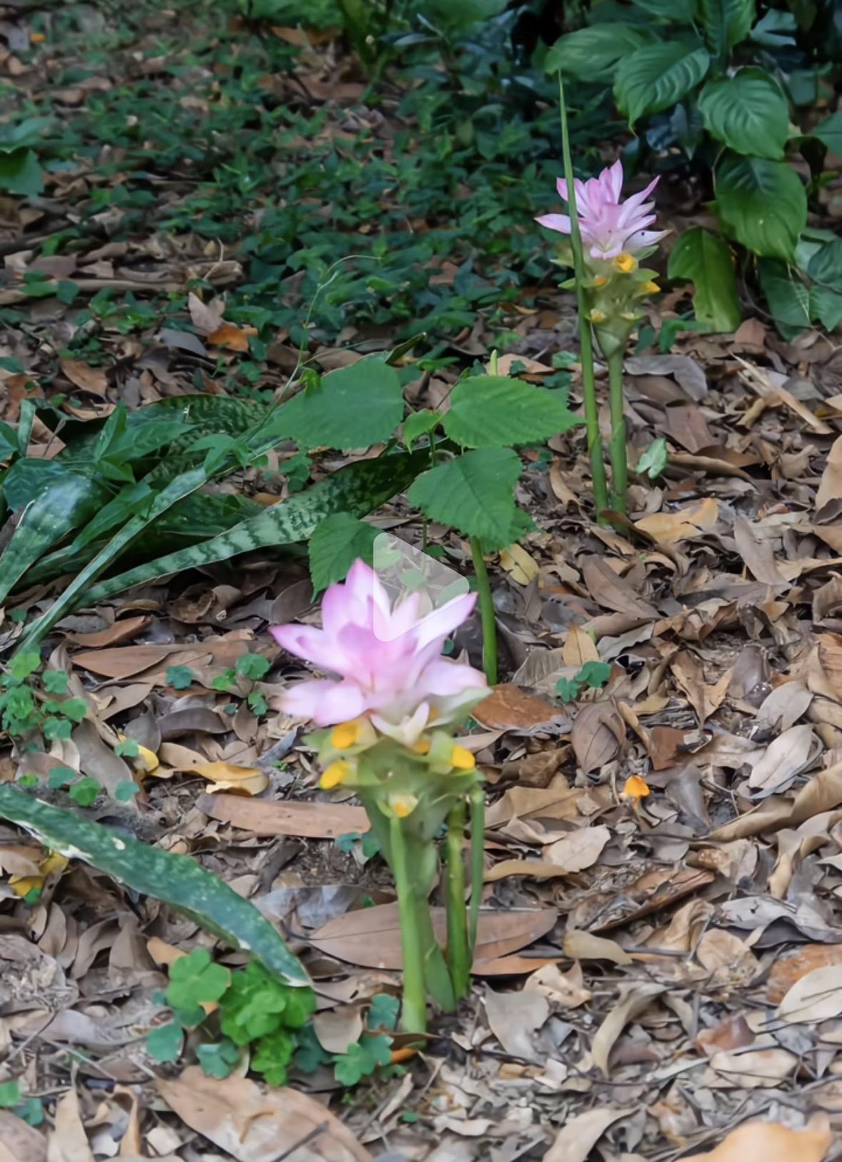 32岁了，
可怜的人，
翻遍通讯录没有一个人能诉苦的。
找老公诉苦，他会说，“你