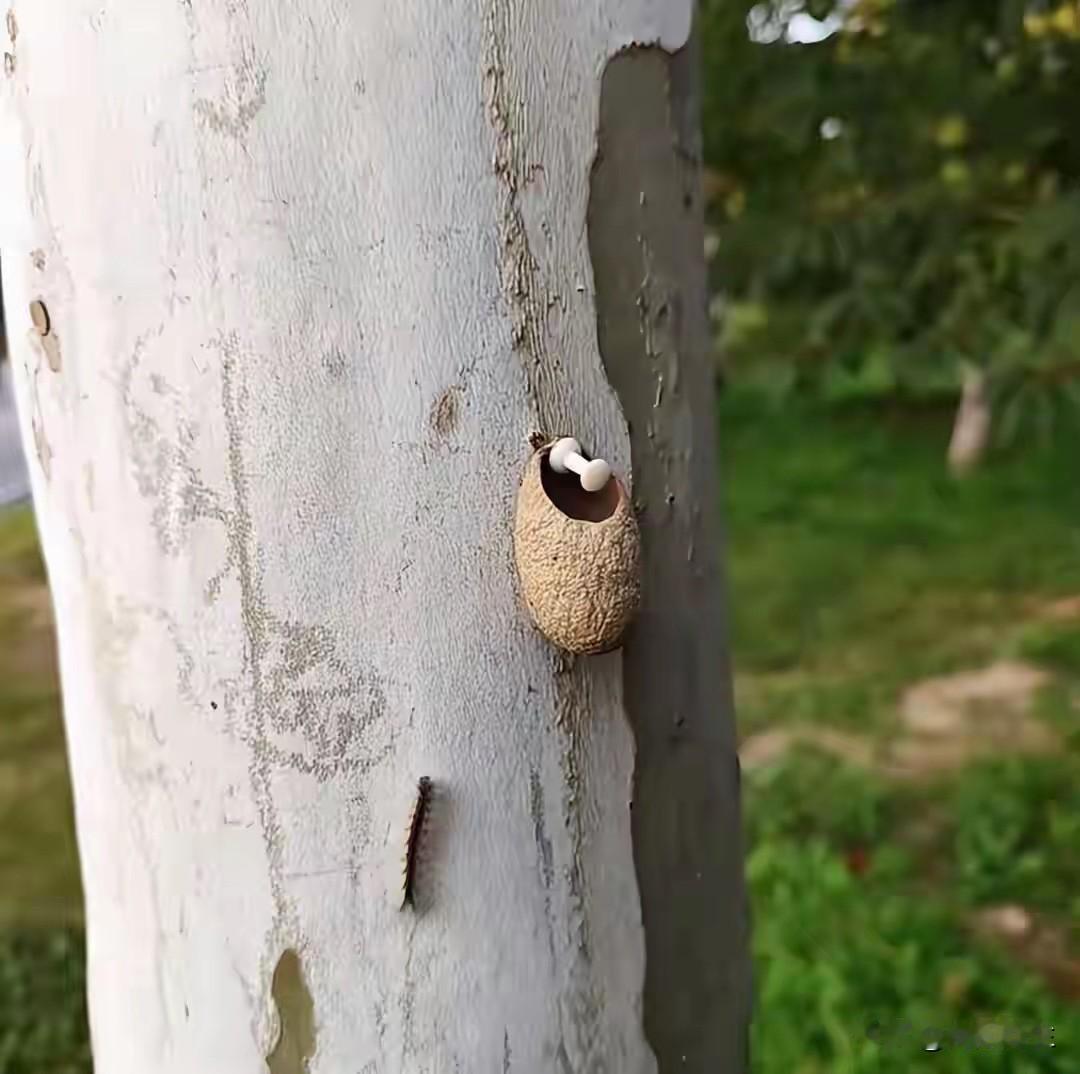 昨晚八点把大闺女送到学校，一路上我们聊天。
大闺女说妈妈，这次月考的成绩可能这两