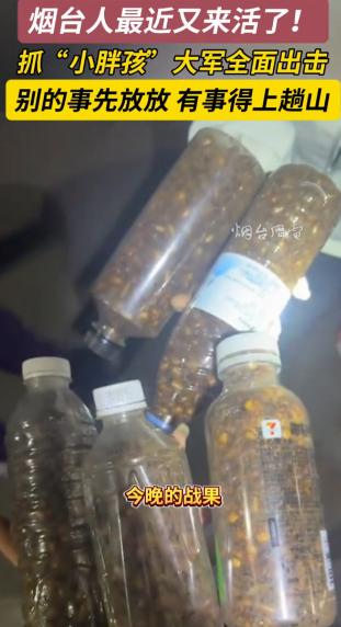 不服不行！山东烟台，不少人把车开到山脚，还带了一堆工具，也不上山，就在那等天黑，