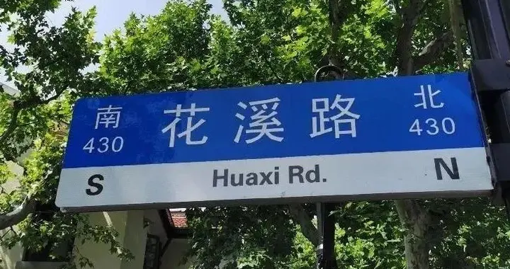 普陀|一步一景！普陀这里有条充满浪漫气息的路，快来逛逛吧！