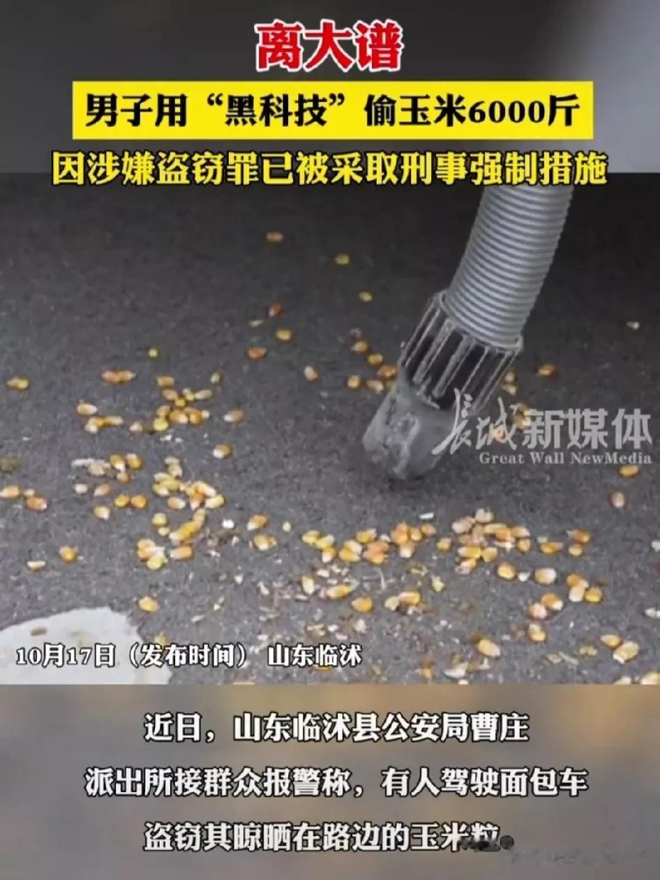 真是现实版掩耳盗铃，从警方审讯室发布的信息来看，居然有一个女的，而且年纪也不大。