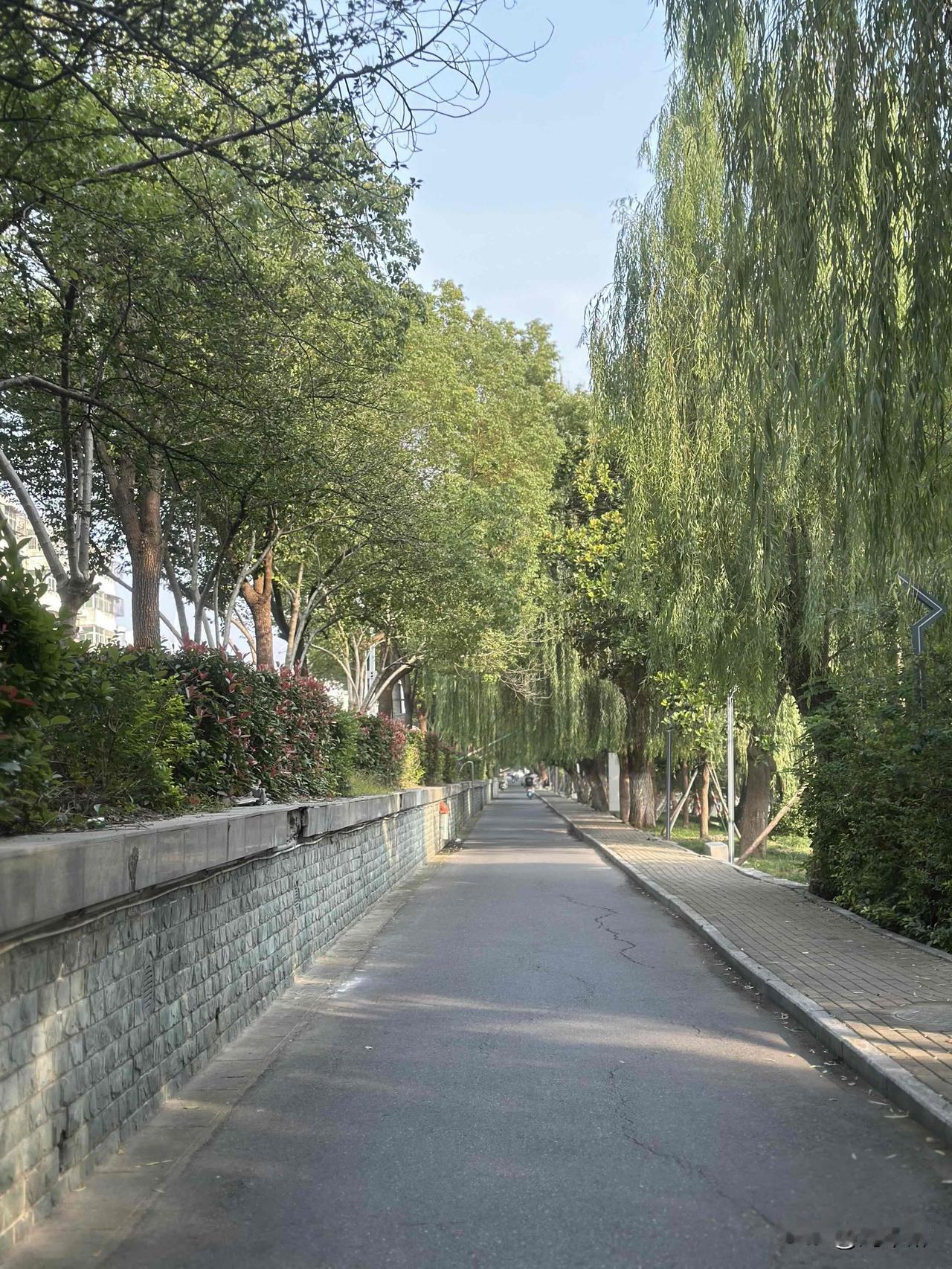 条友“吃货”发问：在头条上写什么能有流量？
@刘不醉 ：不管写何种内容，只要能获