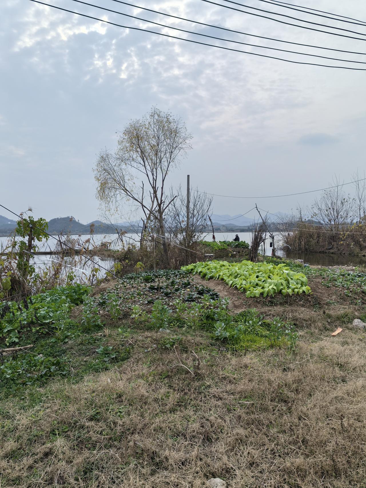晒图笔记大赛 参加 晒图笔记大赛，必须来晒鄂州市花马湖！花马湖宛如仙子，淡妆浓抹