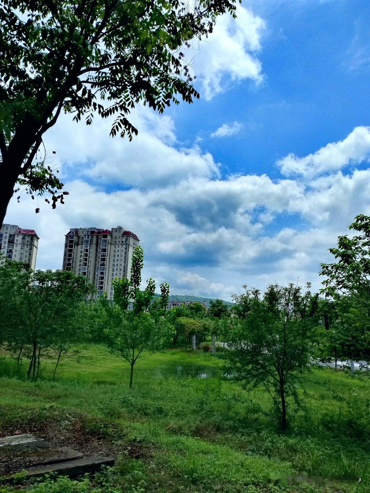 鸟语花香，春色无边呈画卷，
风和日丽，韶光不尽应诗篇