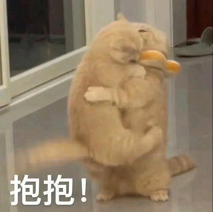 好久我都不看账号数据之类的，刚才一看，铁粉掉了好多，好多，好多……铁铁们，你们在