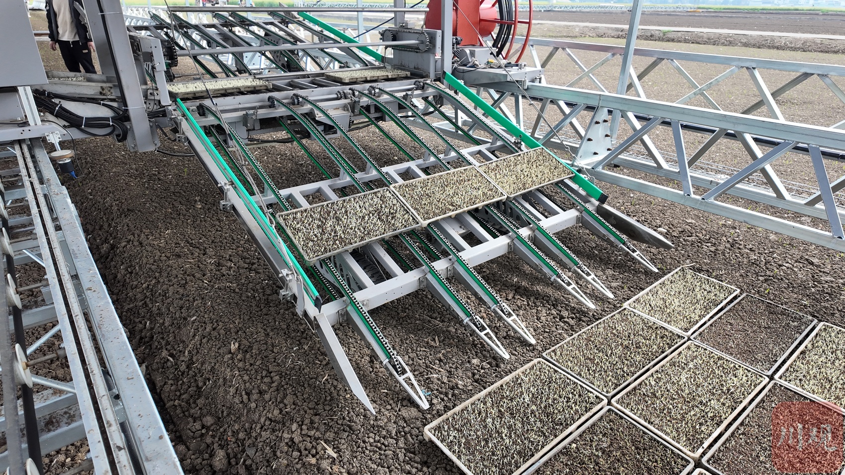 节约人工90%以上！四川首台大田自动化摆秧起秧设备来了