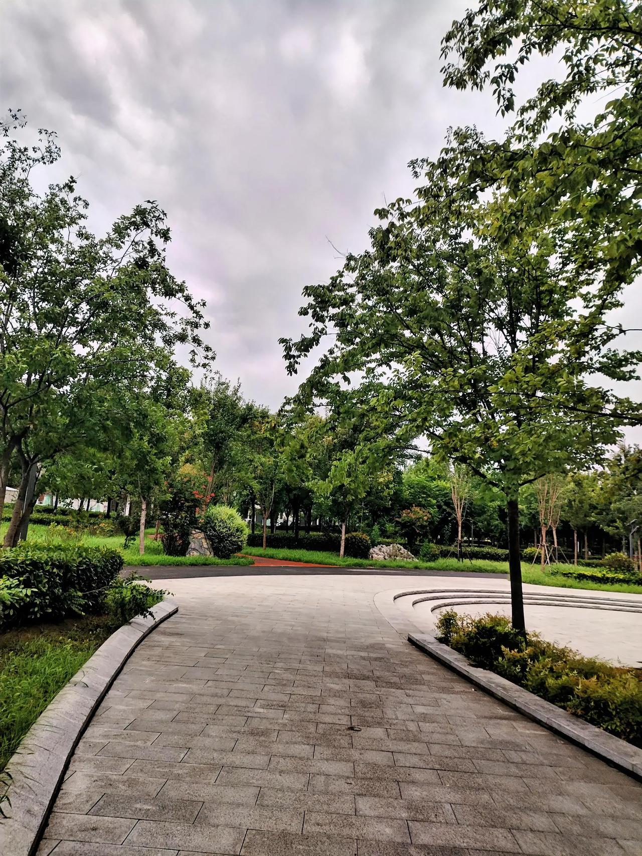 今天早晨在公园散步时，看到雨过天晴后的公园绿植特别翠绿，拿起手机随手拍了几张照片