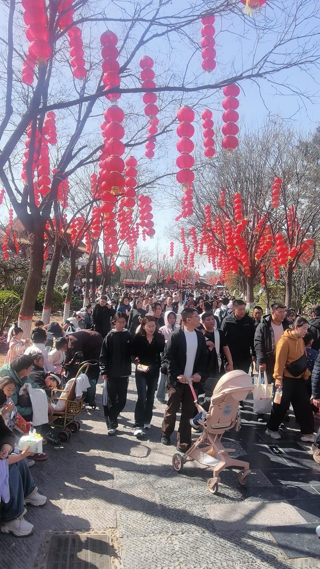 过年别出来了，开封到处是人，随便停车。景区秩序混乱，体验感比较差！