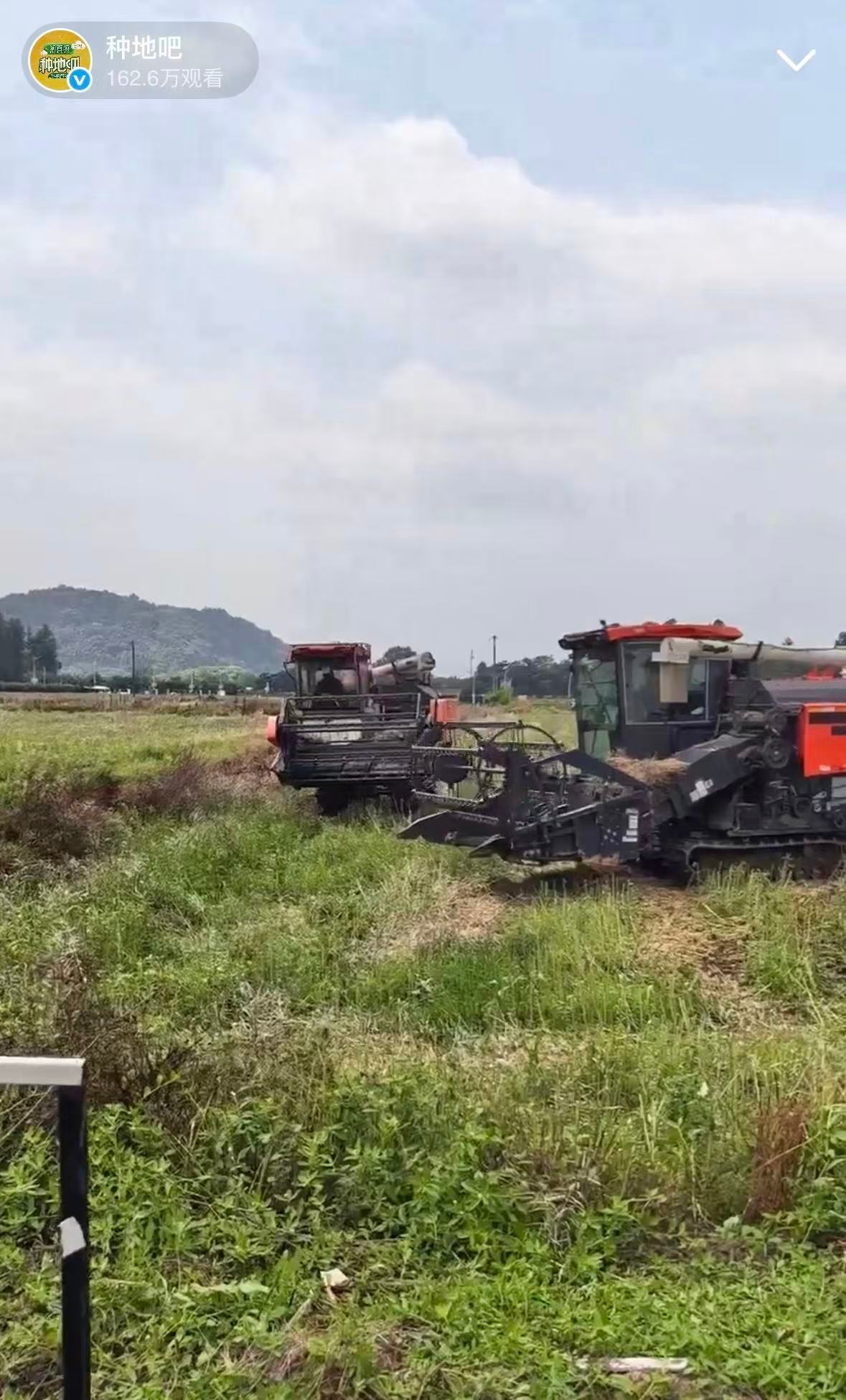 种地吧打卡直播深陷种地直播咯，那田间干活场景超生动。日出就忙活，随心播种希望，质