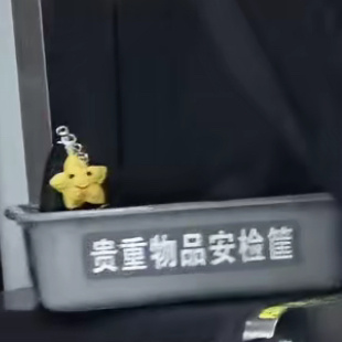 星星（邪魅一笑）：我可是贵重物品哦[酷] 