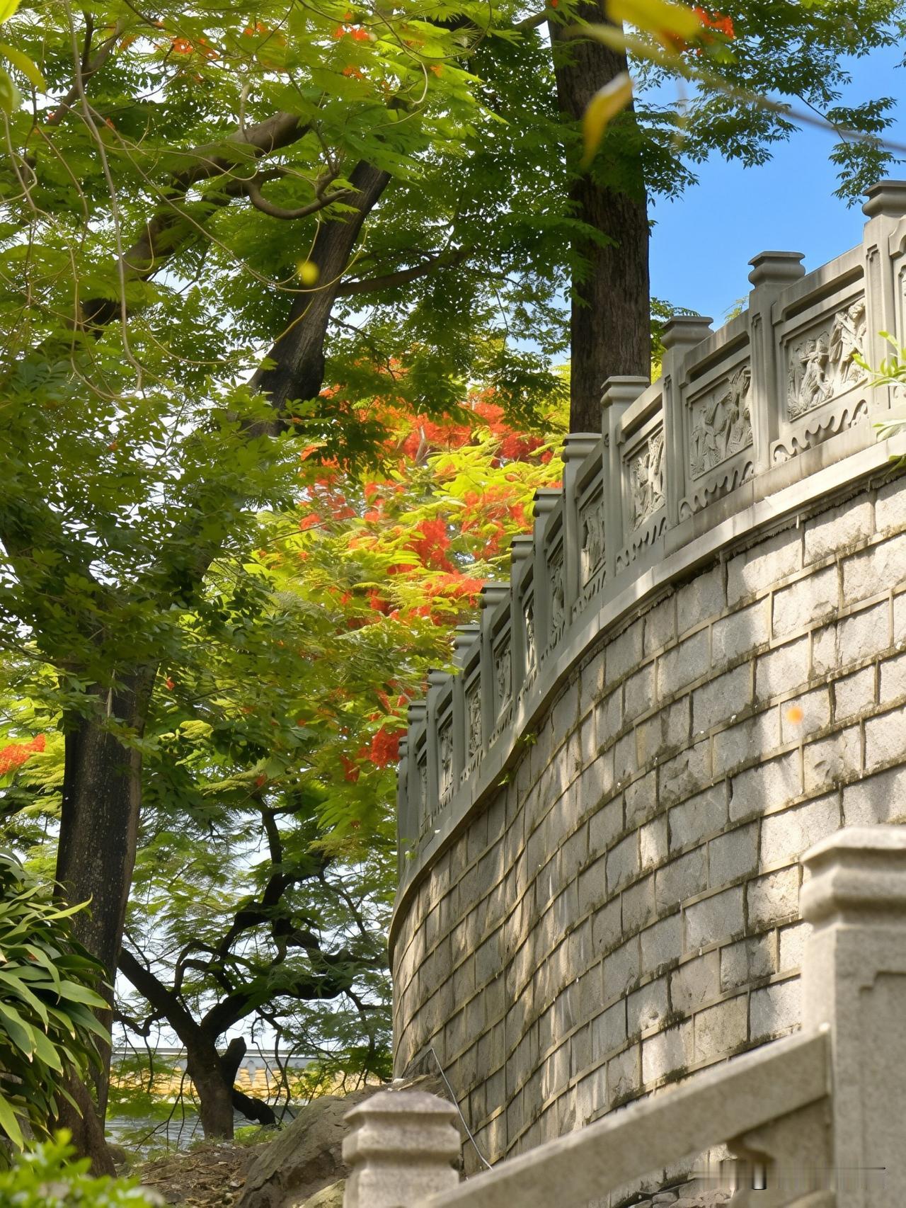 《纯阳观中，夏花与禅意邂逅》
   纯阳观的初夏，恰似一场红与绿的禅意之约；
 