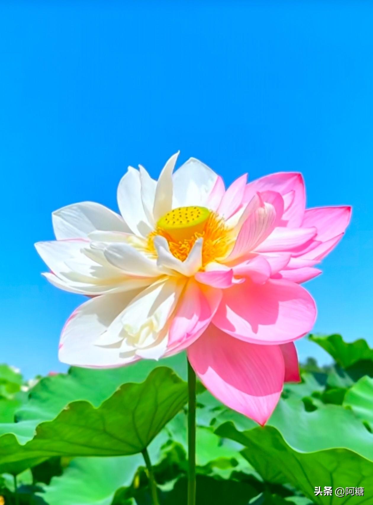 明末，醉厉害的武将应该是熊廷弼了。
        但是他下场不好。所有人都骂他